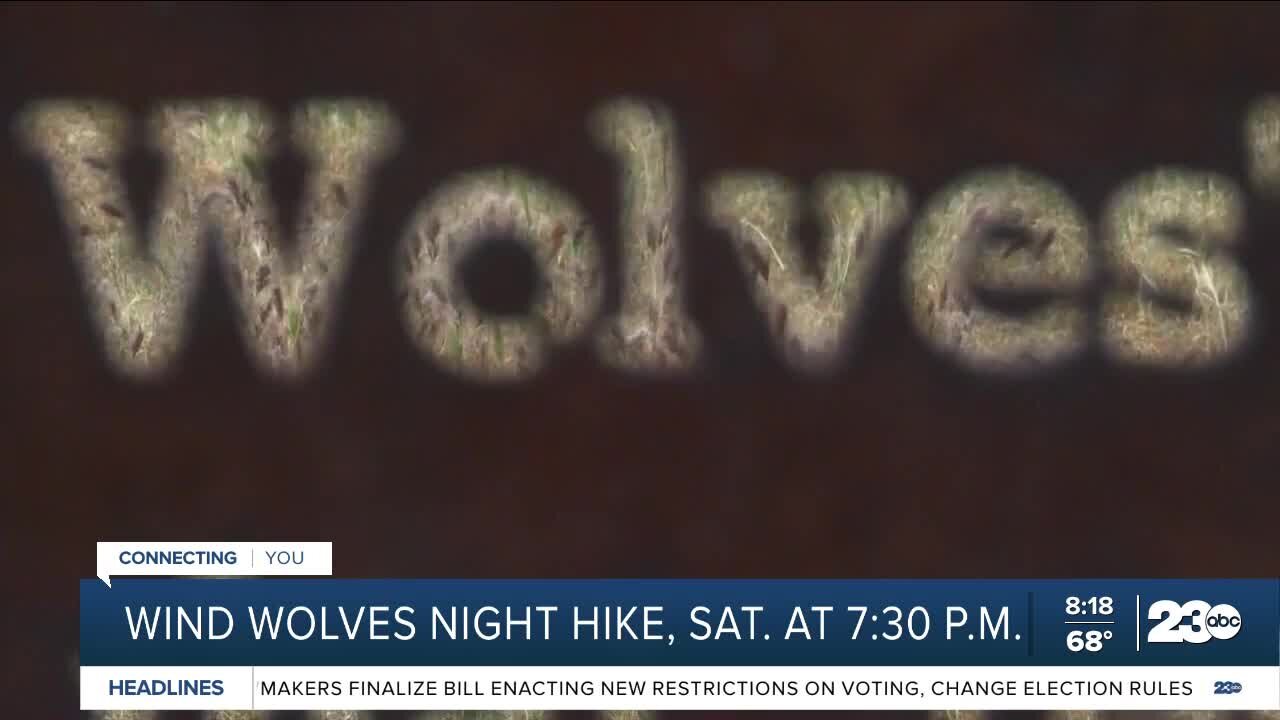 Wind Wolves night hike next Saturday