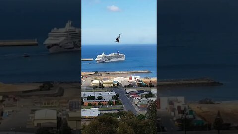 Cruise Ship Reverses Out Of Port Of Burnie Tasmania.#trending #shorts #merchantnavy #lifeatsea #ship