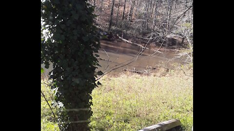 CNN Demands The Censorship of 75 Million Patriots