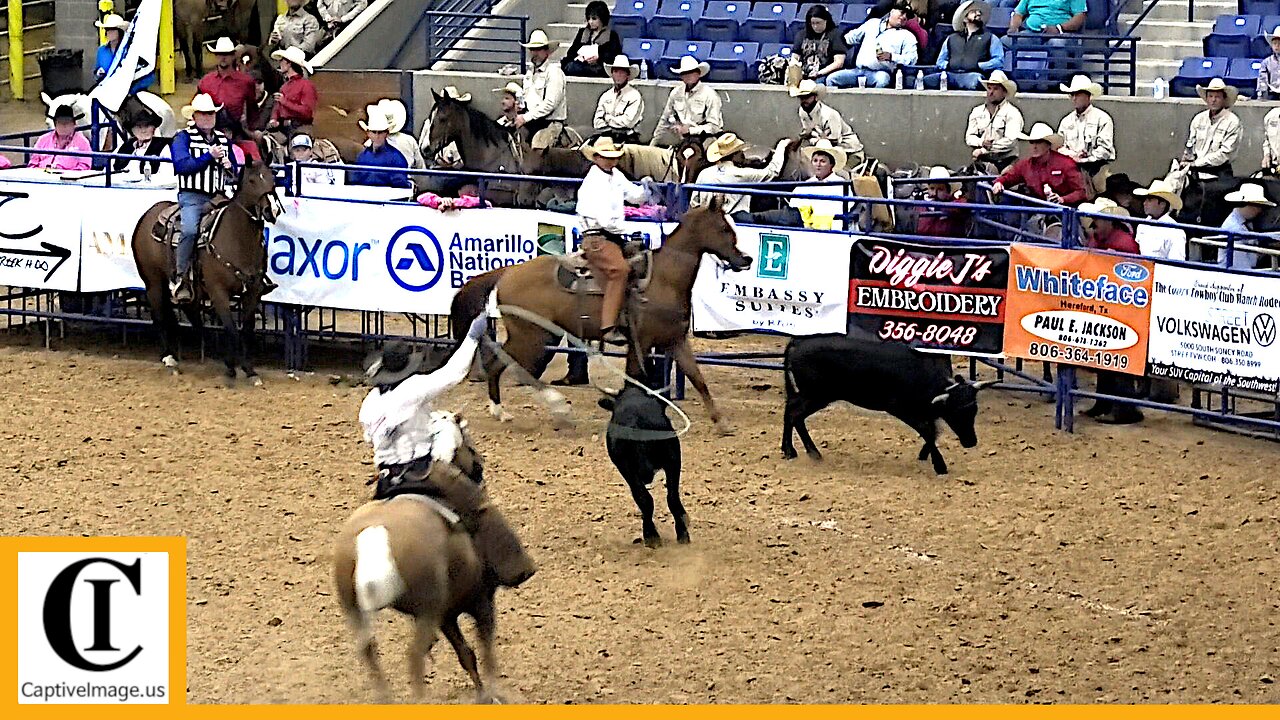 Stray Gathering - 2023 Coors Cowboy Club Ranch Rodeo | Friday