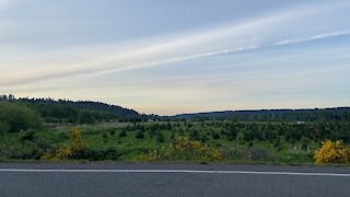 Chemtrails over Redmond, Washington