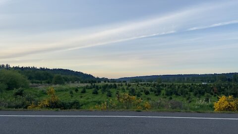 Chemtrails over Redmond, Washington