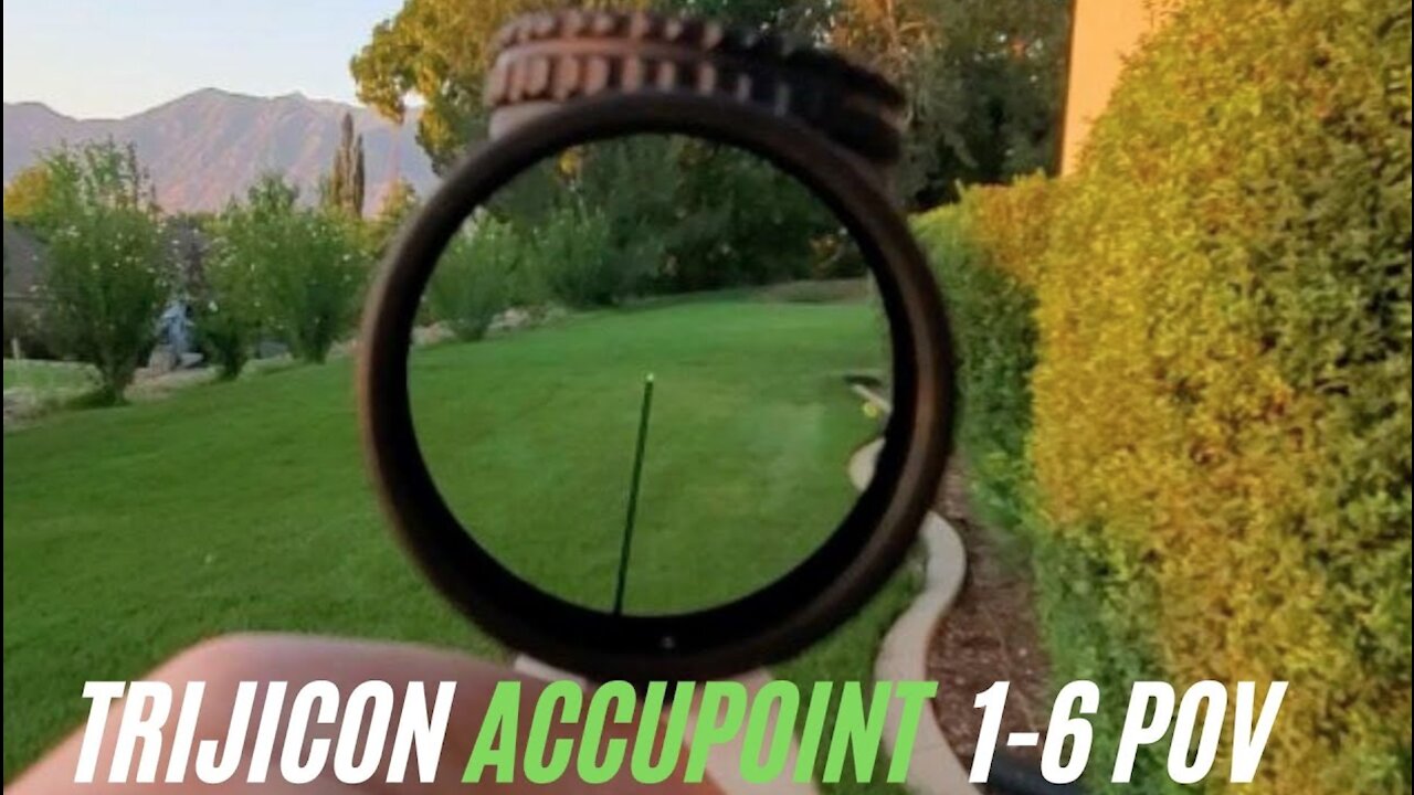 Trijicon AccuPoint 1-6x24mm Triangle Post POV