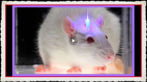 Optogenetics and the Secret Worldwide Nanotech Experiment