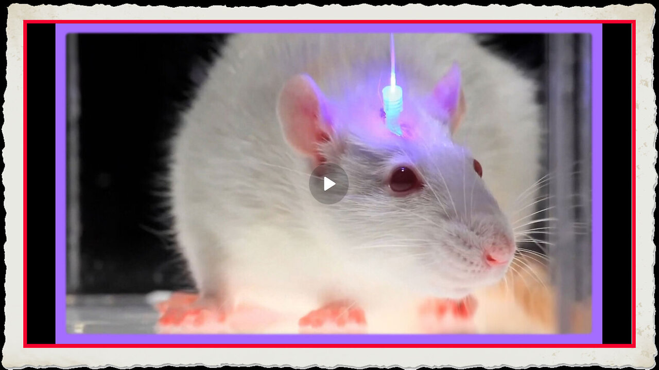 Optogenetics and the Secret Worldwide Nanotech Experiment