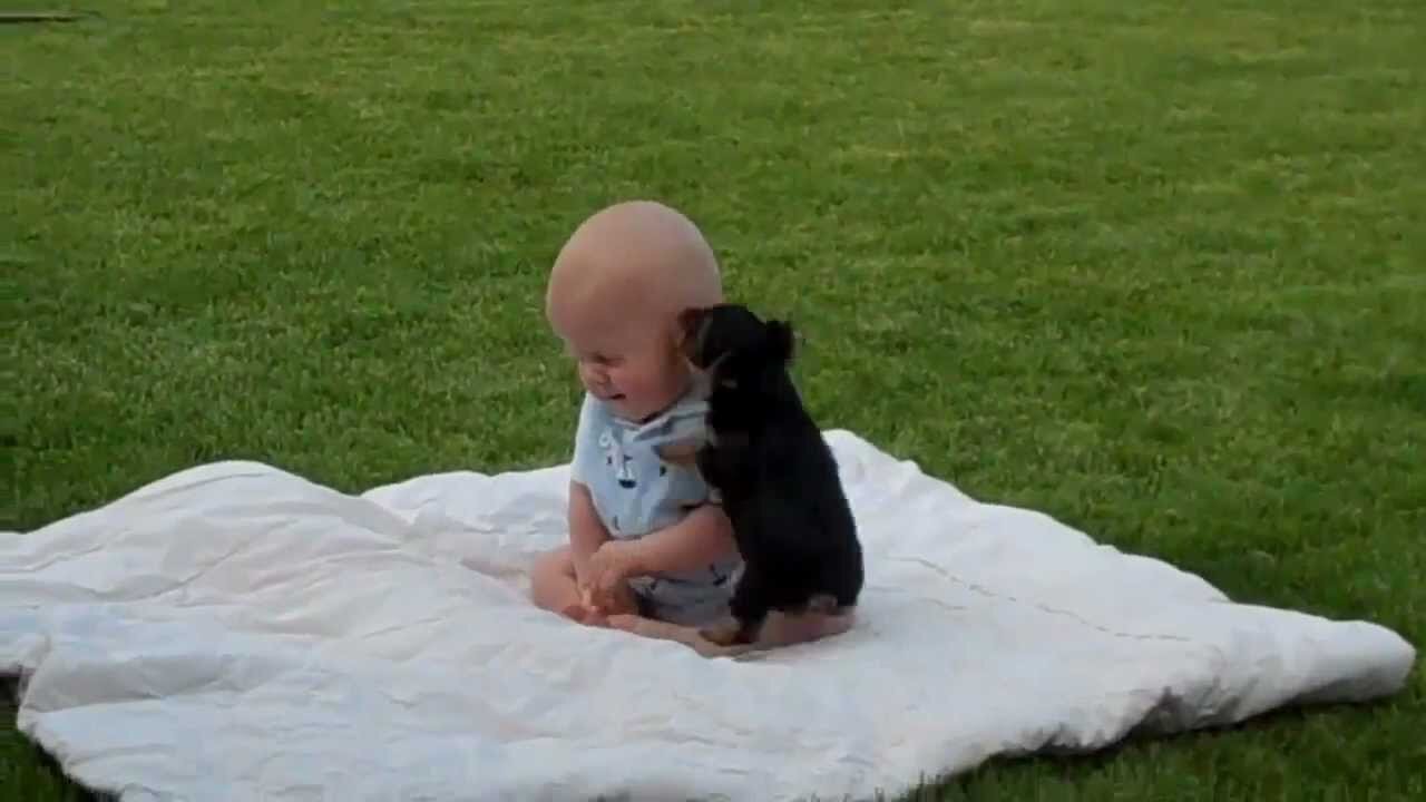 Baby playing with cuddly dog