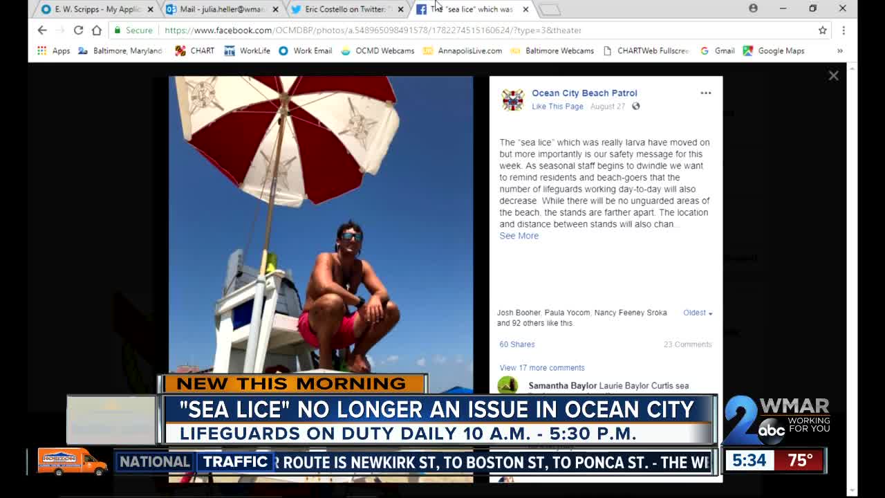 Sea lice no longer a problem on Ocean City beaches