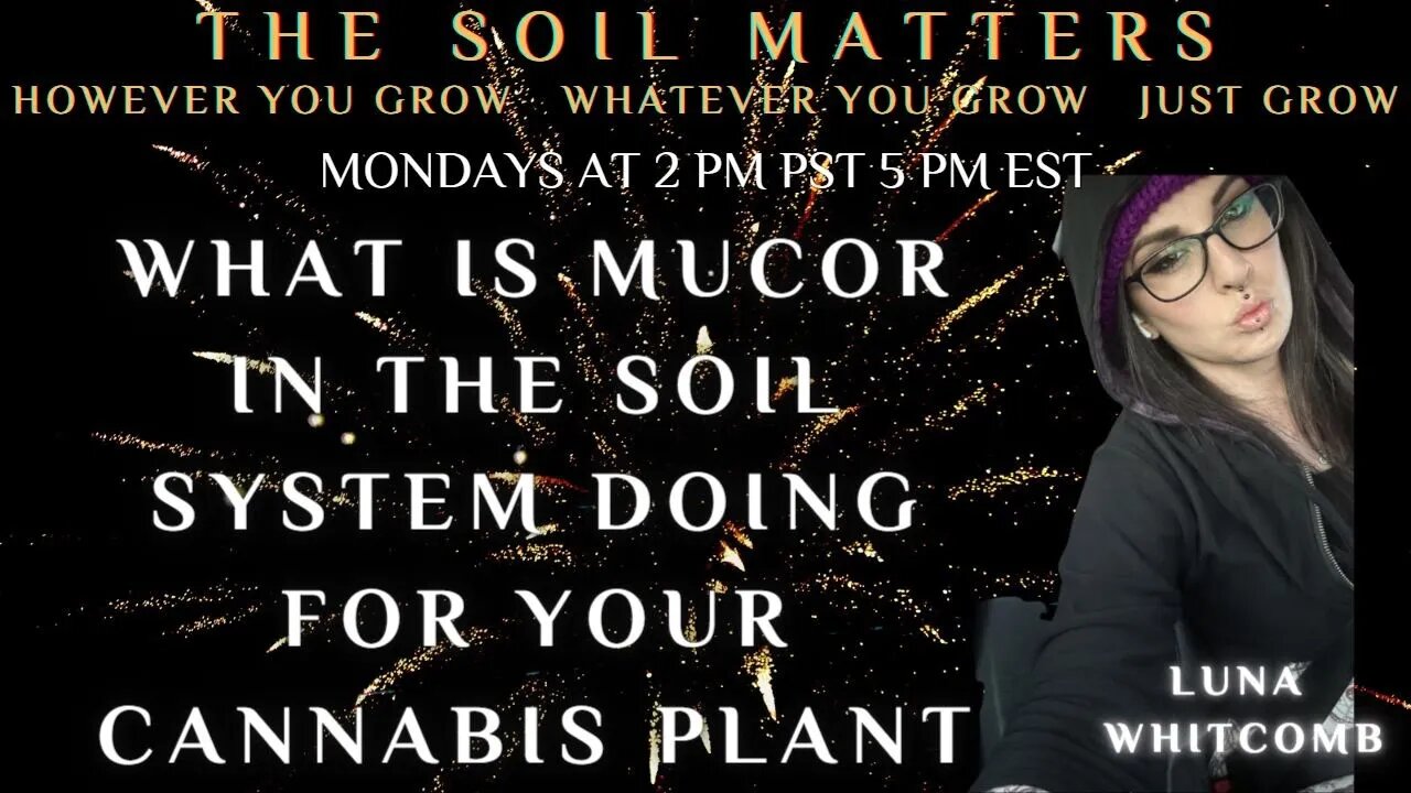 What Is Mucor In The Soil System Doing For Your Cannabis Plant