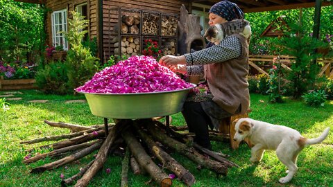 Cooking Gulab From 30 Pounds of Roses