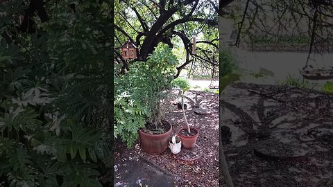 KEP YOUR HEARTS TOWARDS HEAV'N, WHERE YOU CAN'T GO WRONG!