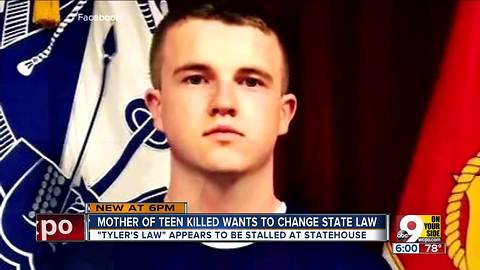 Mother of teen killed at state fair wants to change state law