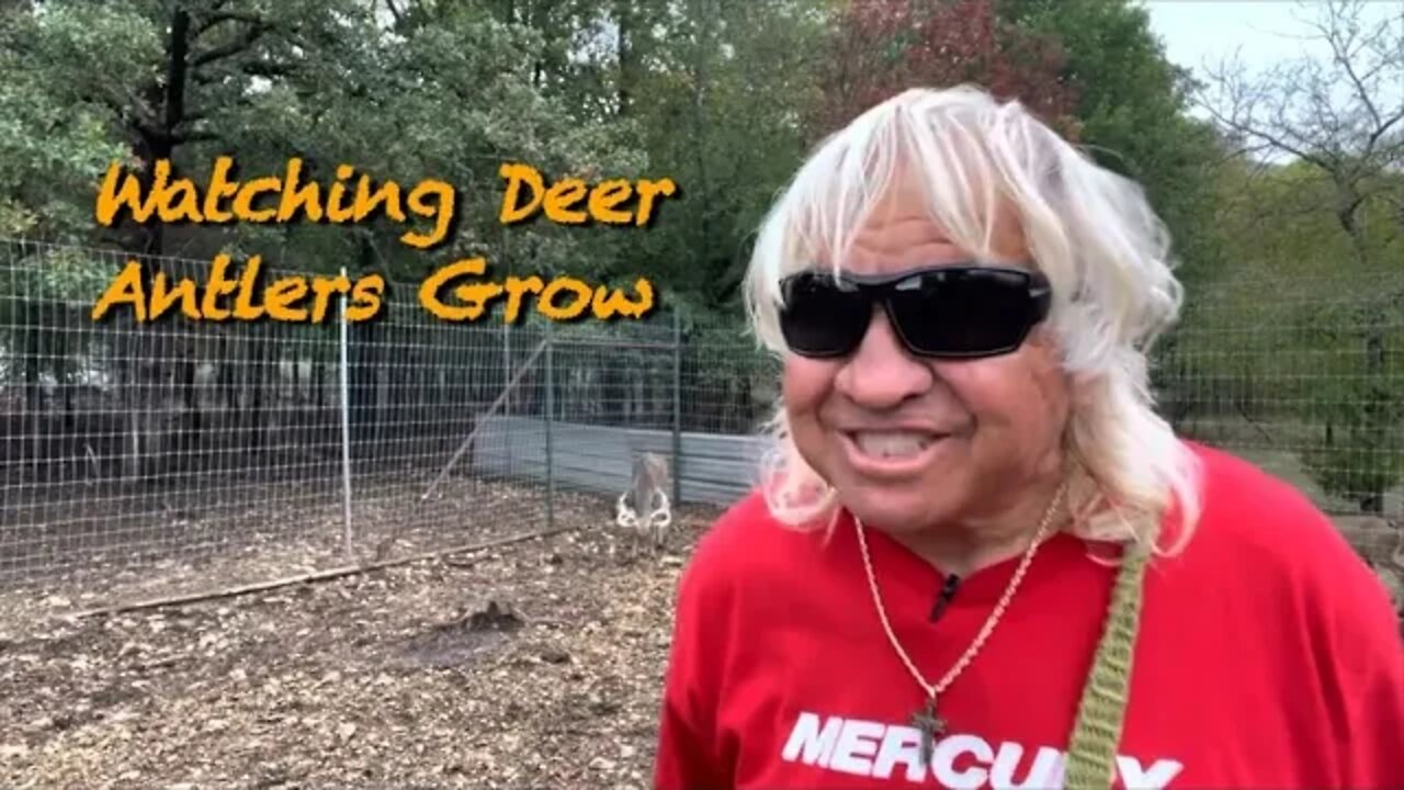Antlers Everywhere! Changes Everywhere! November 4th