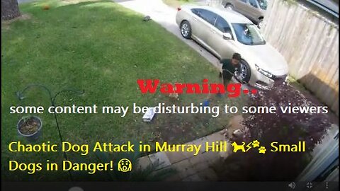 Chaotic Dog Attack in Murray Hill 🐕⚡🐾 Small Dogs in Danger! 😱