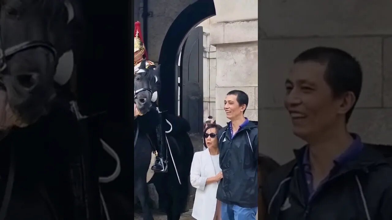 Move away tourist not getting it #horseguardsparade