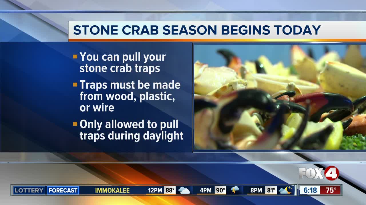 Stone crab season officially begins