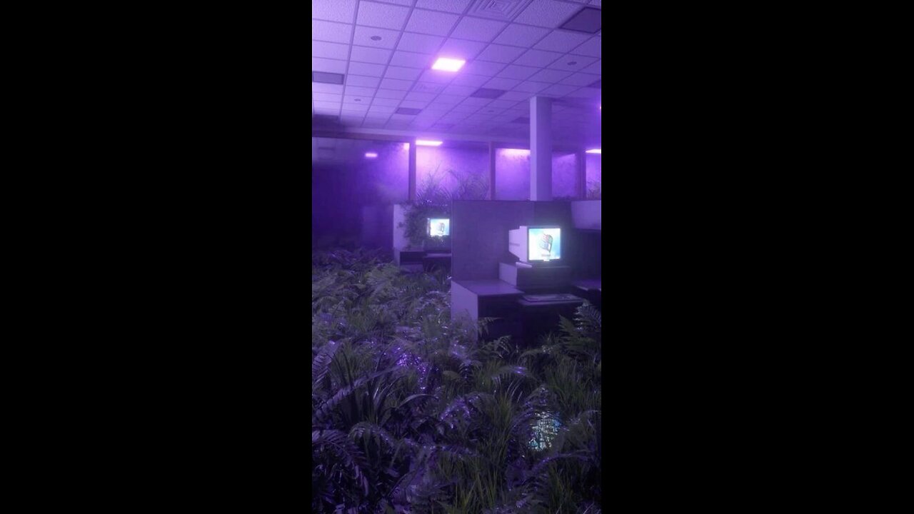 Irises reup