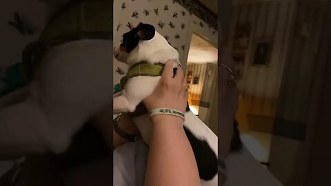 Kinda ASMR: Embawwassing Widdle Ole Siller