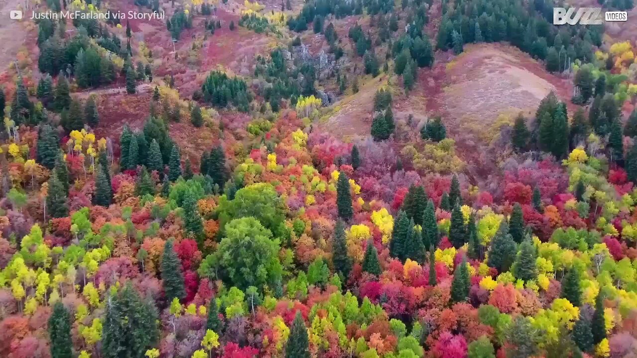 Incredibili colori d'autunno nello Utah