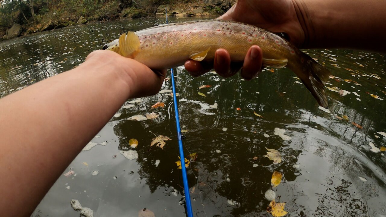 Multiple Slow days of fishing