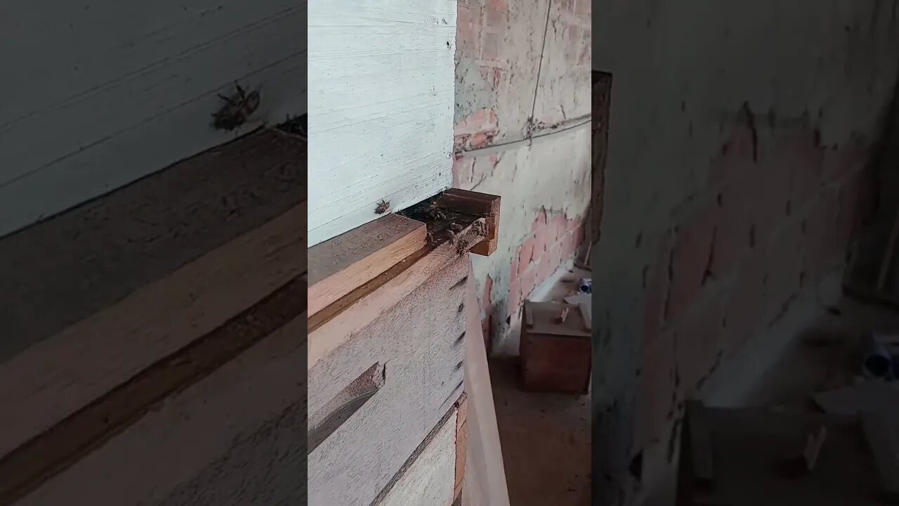 deixa elas trabalhar do jeito que elas sabem