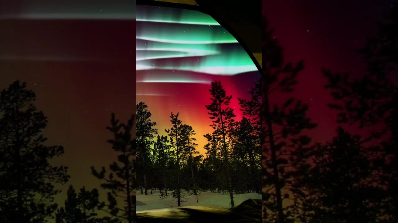 Fall Asleep Fast | Aurora Camping Ambience In A Snowy Forest | Soft Healing Ambient ASMR