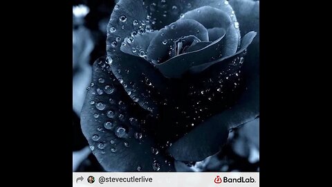 creep cover by Steve Cutler Live @stptv