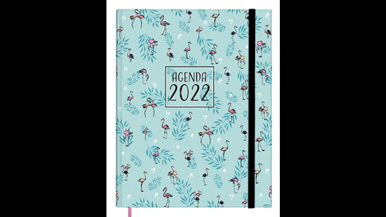 Best Journal & Diaries 2022 #shorts