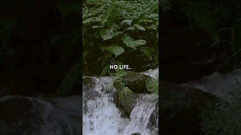 NO WATER...