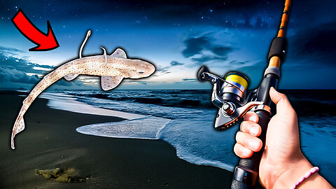 THIS IS HOW YOU CATCH SHARK OFF OF THE BEACH!!!