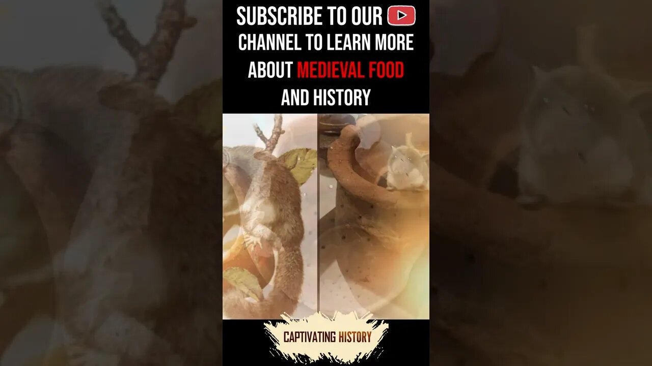 What Medieval Recipes Are Used to Cook Mice? #shorts