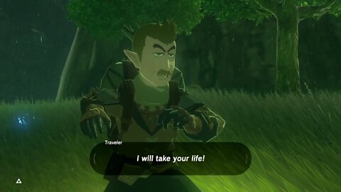 Breath of the Wild Master Mode 25