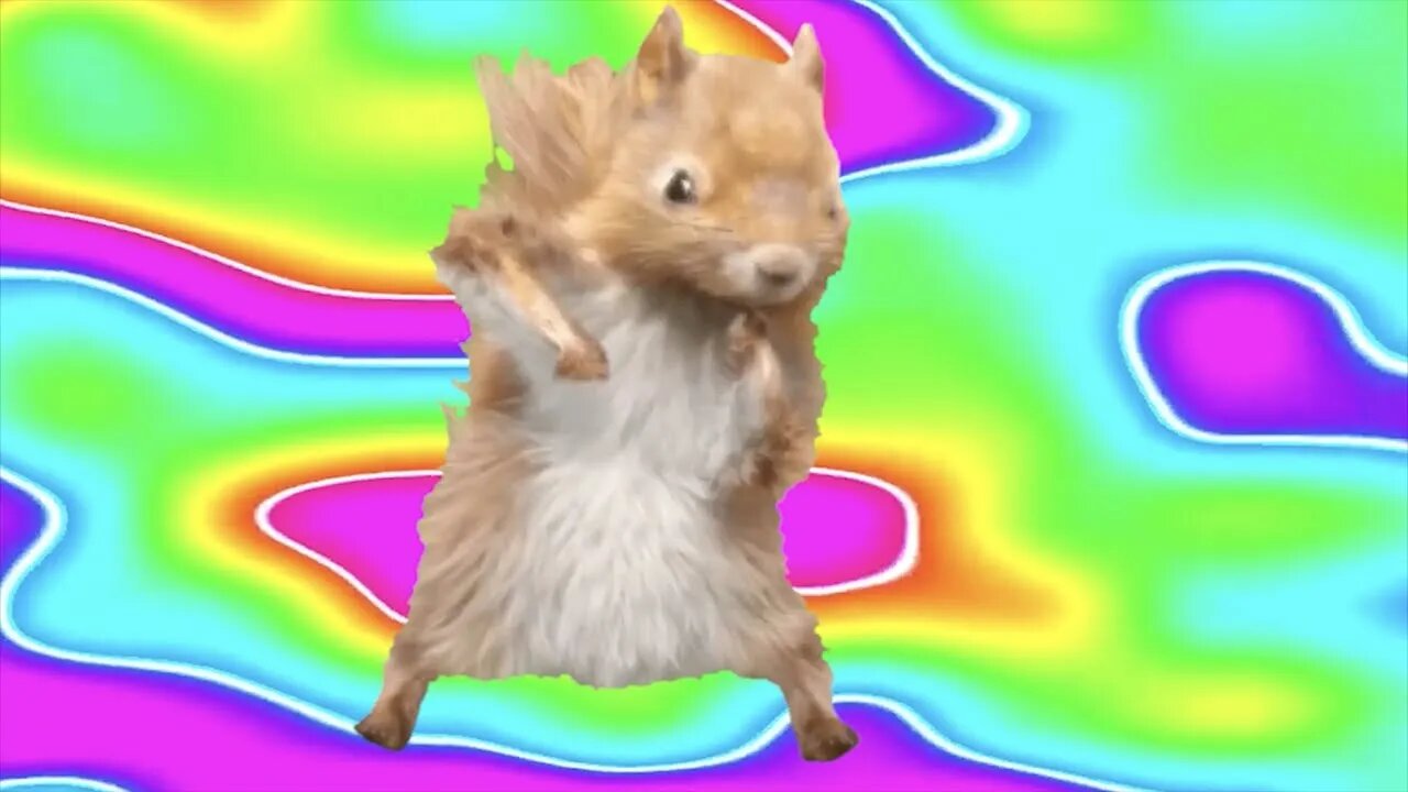 [10 HOURS] of Schni Schna Schnappi Schnappi Schnappi Schnapp (Trippy Squirrel Edition)