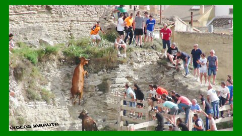 ARGUEDAS ( NAVARRA ) TARDE ENCIERRO DEL ESTRECHO ( DOMINGO 15 MAYO 2022 ) J.J.LAPARTE