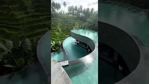 This was my view today