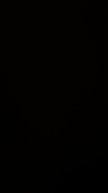 The presidential results