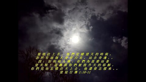 今天的每日聖經經文Jīntiān de měi rì shèngjīng jīng wén