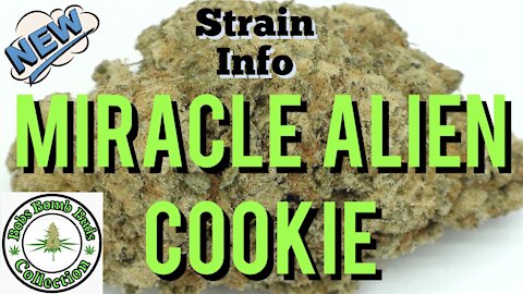 Miracle Alien Cookie, BC Bud Supply. MAC Strain