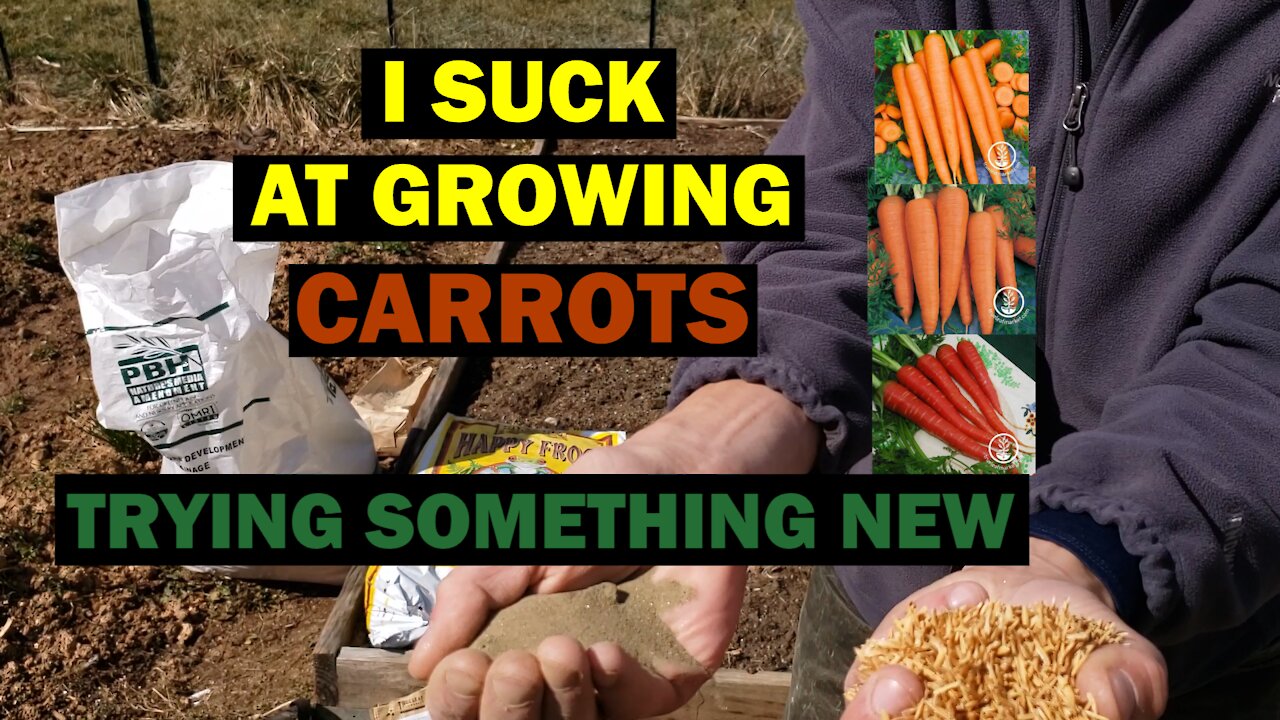 I Suck at Growing Carrots | Here is What I'm Doing Differently This Spring to Reduce FAILURE