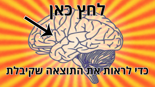 בחן את עצמך: עד כמה המוח שלך יעיל בעיבוד מידע? מוח פילוסופי