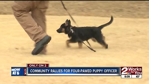 Community rallies for future puppy officer