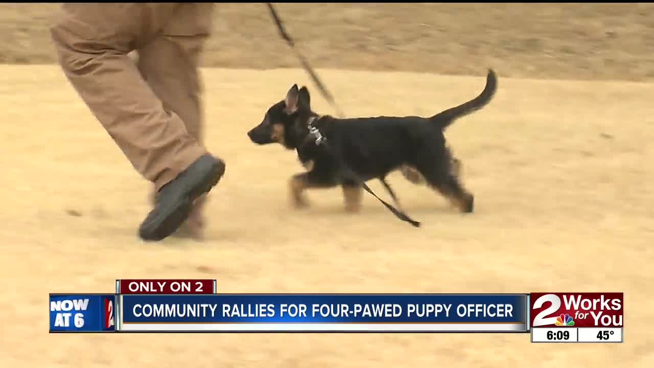 Community rallies for future puppy officer