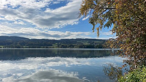 Roger am Greifensee - Rück- und Ausblick - 14.10.2024