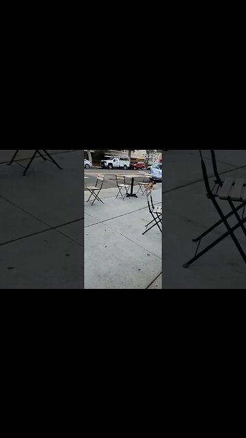 We Don't Tie Our Malinois Down! #belgianmalinois #belgianmalinoislovers