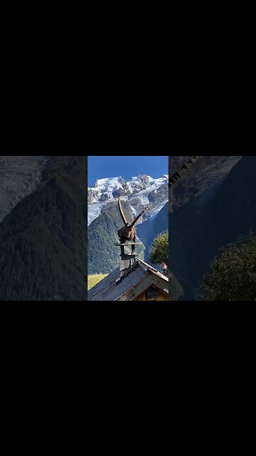 Settled comfortably 🤗