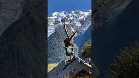 Settled comfortably 🤗