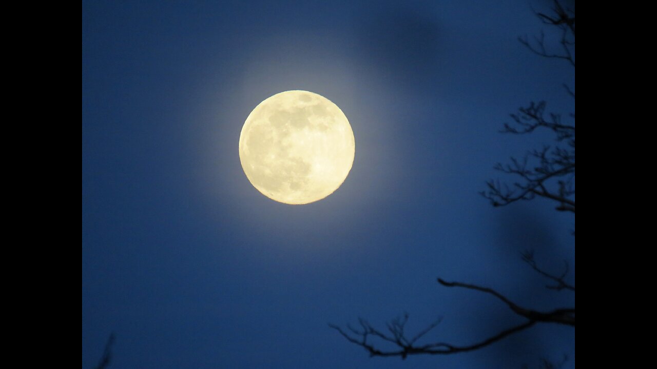 Awesome Super Moon Rise in the UK 7.4.2020