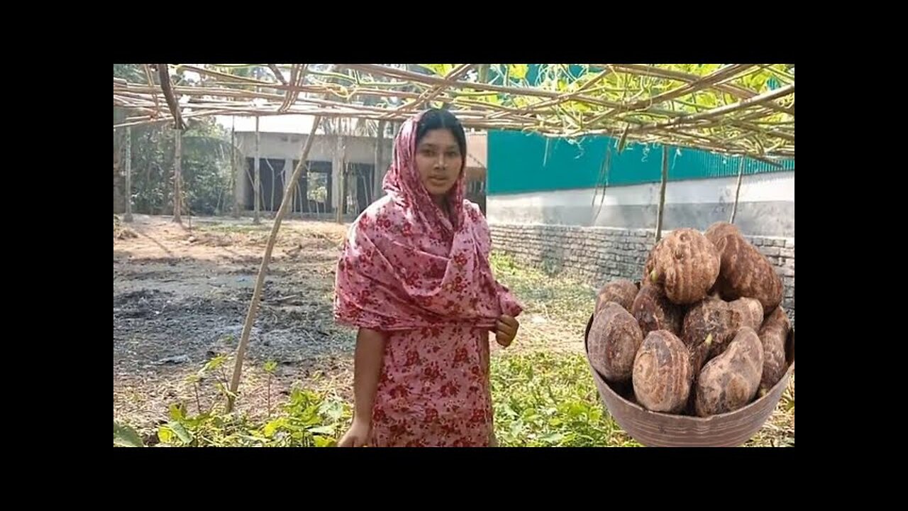 কচুর মুখি রান্নার অসাধারণ রেসিপি _ Taro Root Curry Recipe | Everyone Will Love It!"