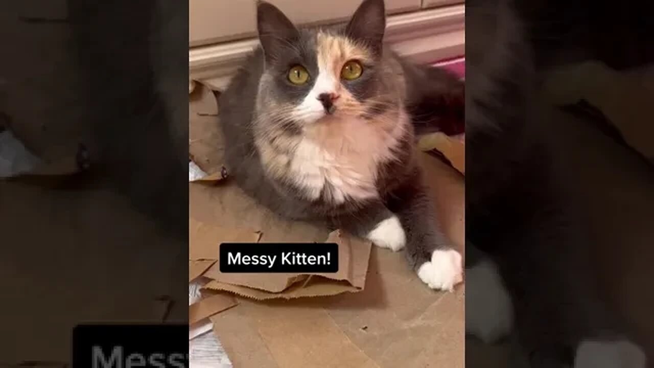 Mission clean up!!!