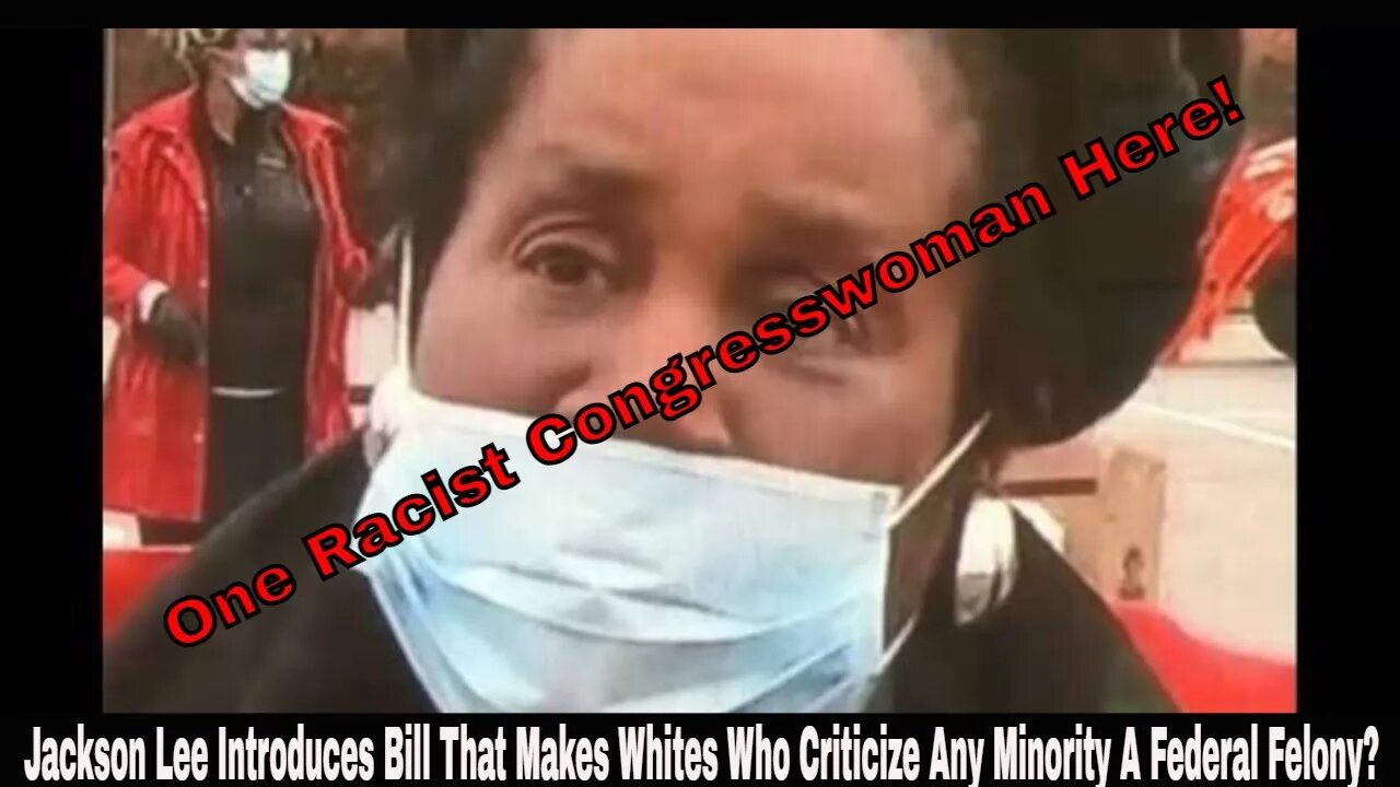 Shelia Jackson Lee Introduces Bill That Makes Whites Who Criticize Any Minority A Federal Felony?