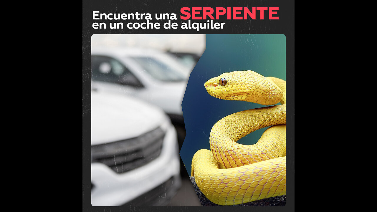 A veces, cuando alquilas un coche te puedes encontrar sorpresas